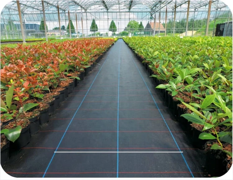 Agrowłóknina 1,6x50m 90g/m² Agrotkanina Czarna Mata Ściółkująca UV