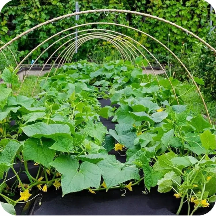 Agrowłóknina 1,6x50m 90g/m² Agrotkanina Czarna Mata Ściółkująca UV
