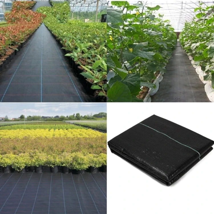 AGROWŁÓKNINA 90G 1,6 X 50M CZARNA UV AGROTKANINA MATA ANTYCHWASTOWA
