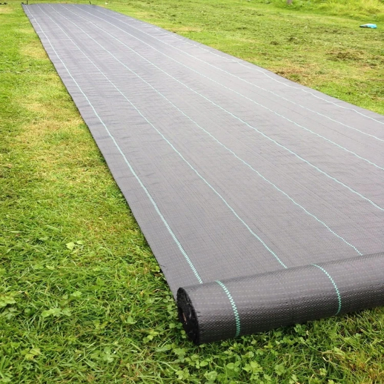 AGROWŁÓKNINA 90G 1,6 X 50M CZARNA UV AGROTKANINA MATA ANTYCHWASTOWA