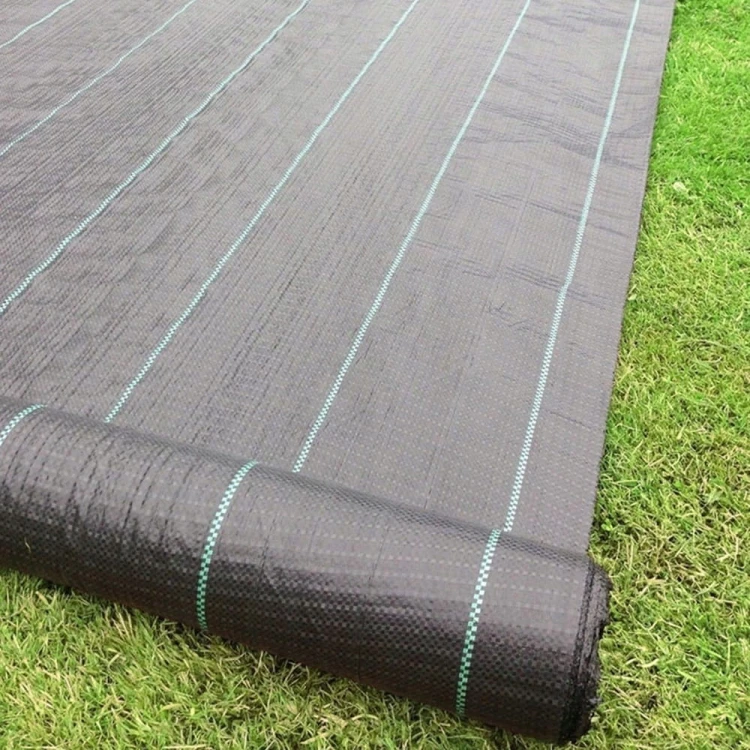 AGROWŁÓKNINA 90G 1,6 X 50M CZARNA UV AGROTKANINA MATA ANTYCHWASTOWA