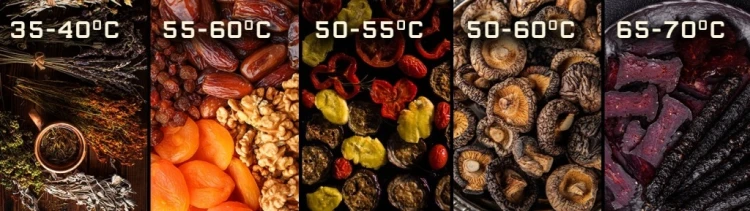 SUSZARKA DO GRZYBÓW OWOCÓW WARZYW ZIÓŁ SPOŻYWCZA MOCNA 1000W DUŻA XXL 5 SIT
