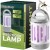 Lampa Owadobójcza UV 5W Na Muchy Komary Owady Osy Ćmy Pułapka Elektryczna